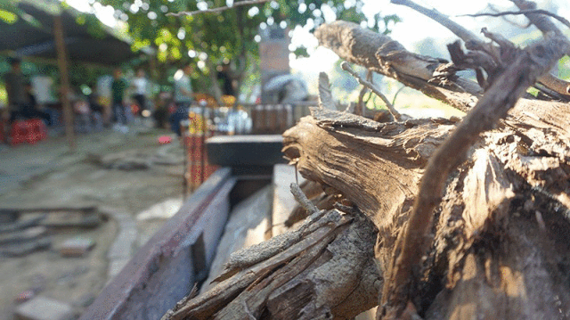 浓情端午，粽情相约-PTI六月拓展活动（images 2）